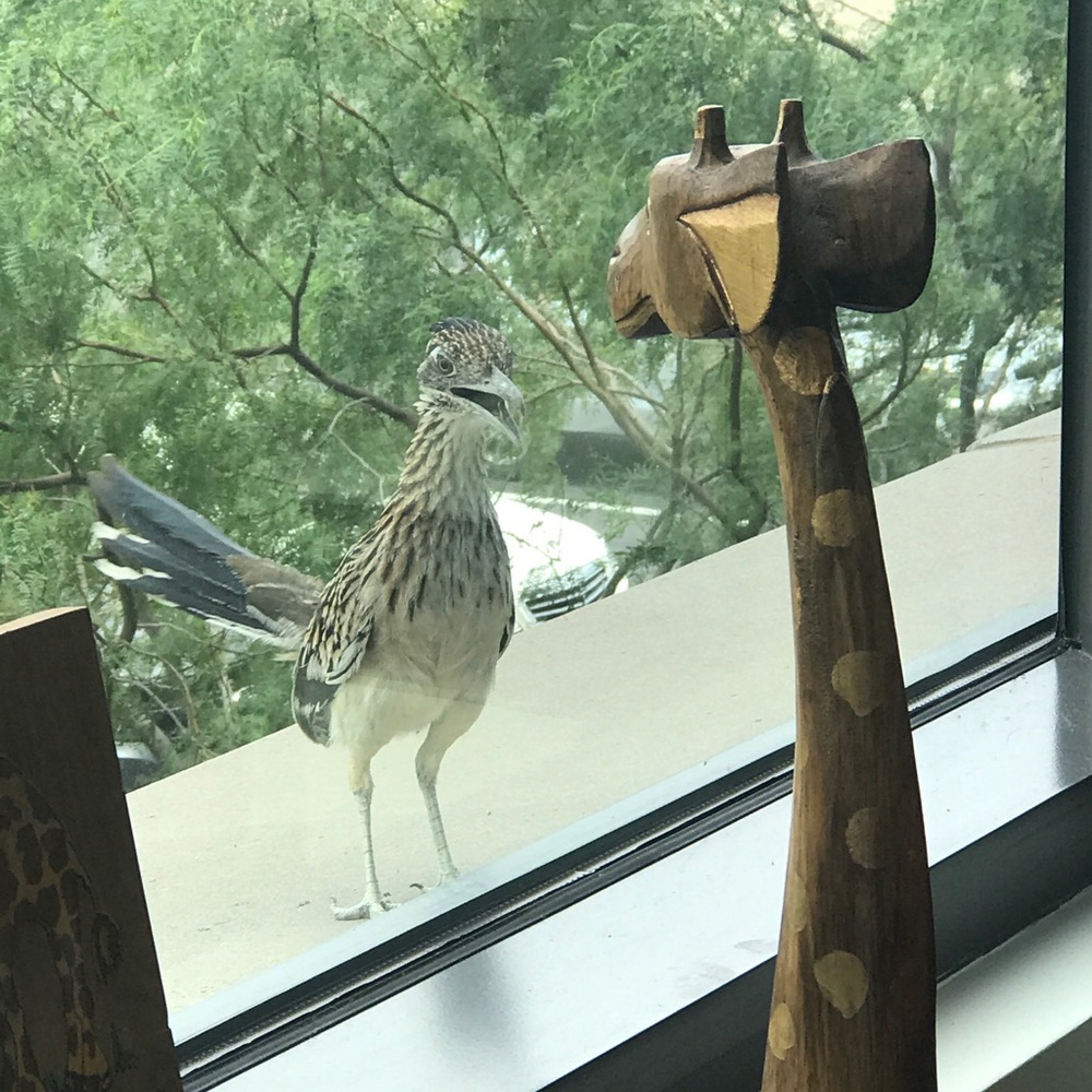 Meet your Posher, Bonnie